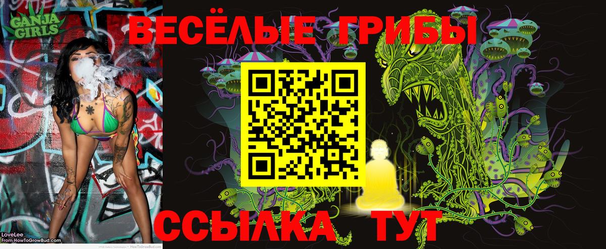 Псилоцибиновые грибы Magic Shrooms  Галлюциногенные грибы Magic Shrooms  Осинники  Вход с VPN 